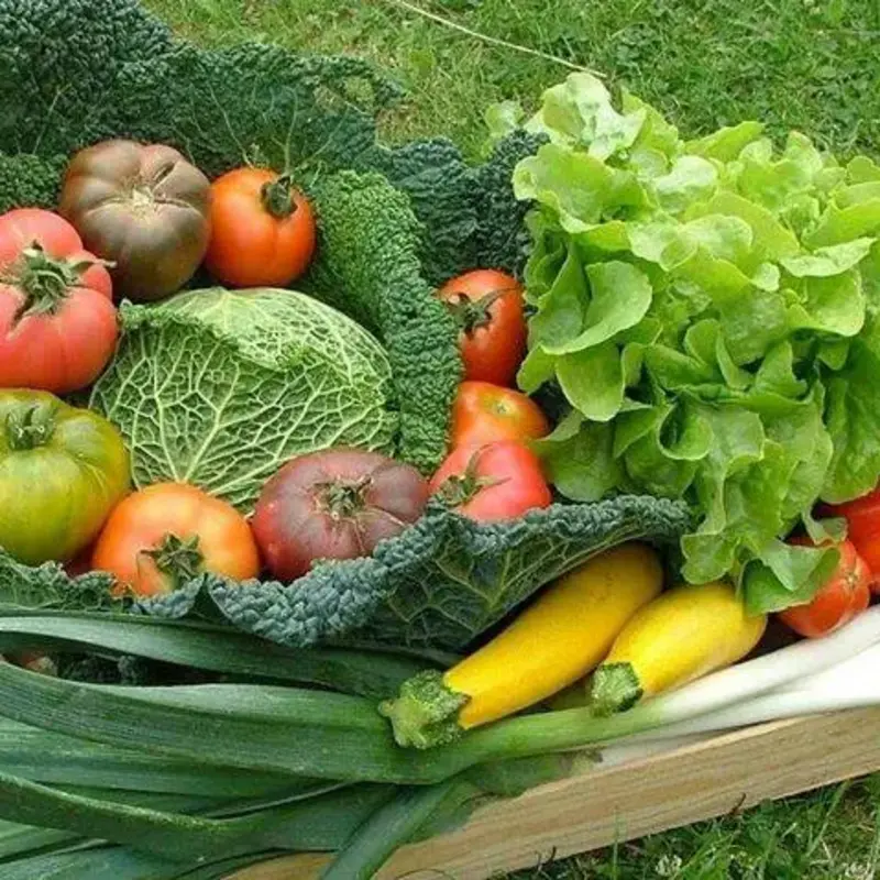 Caroline Fabre - photo 2