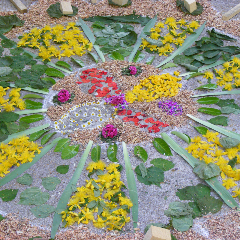 Muriel Hemelsoet - photo 2