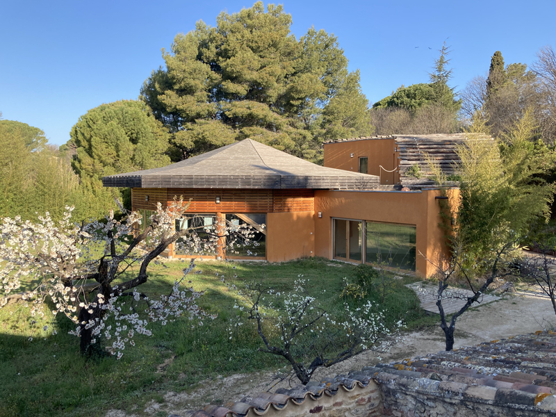 La Fontaine de l'Aube avec le cerisier en fleurs