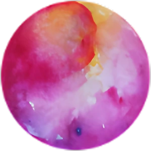 planète des séjours scolaires